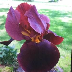 Meet your Posher, Shari